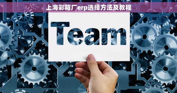 上海彩箱厂erp选择方法及教程