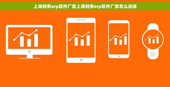 上海财务erp软件厂家上海财务erp软件厂家怎么选择