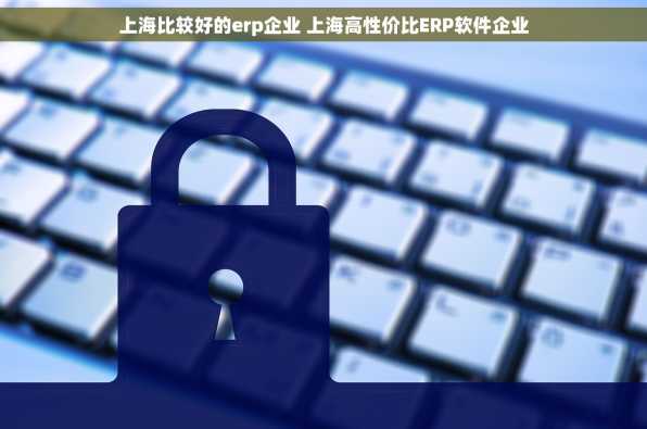 上海比较好的erp企业 上海高性价比ERP软件企业
