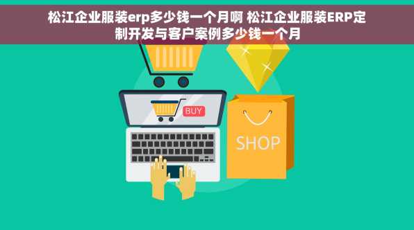 松江企业服装erp多少钱一个月啊 松江企业服装ERP定制开发与客户案例多少钱一个月