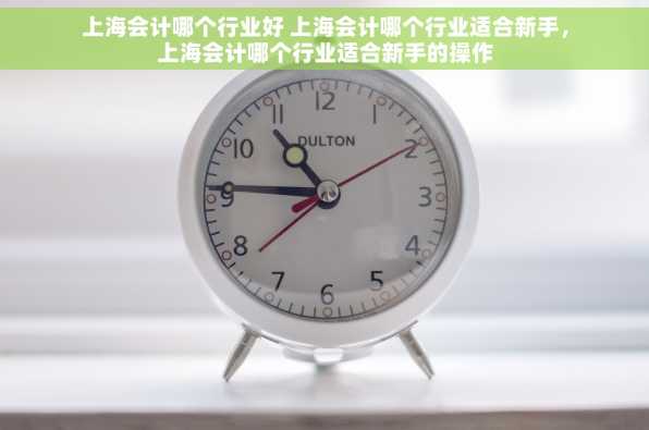 上海会计哪个行业好 上海会计哪个行业适合新手，上海会计哪个行业适合新手的操作