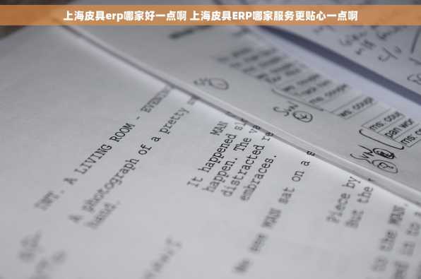 上海皮具erp哪家好一点啊 上海皮具ERP哪家服务更贴心一点啊