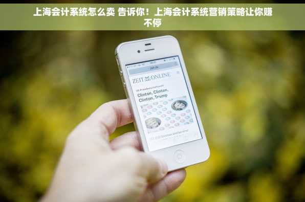 上海会计系统怎么卖 告诉你！上海会计系统营销策略让你赚不停