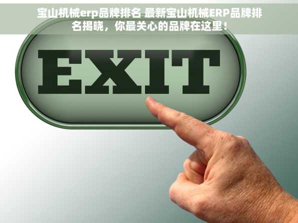 宝山机械erp品牌排名 最新宝山机械ERP品牌排名揭晓，你最关心的品牌在这里！