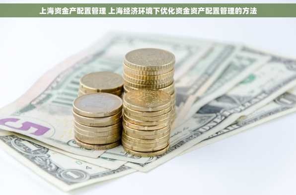 上海资金产配置管理 上海经济环境下优化资金资产配置管理的方法