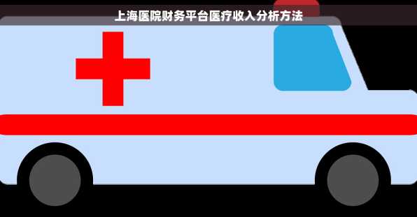 上海医院财务平台医疗收入分析方法