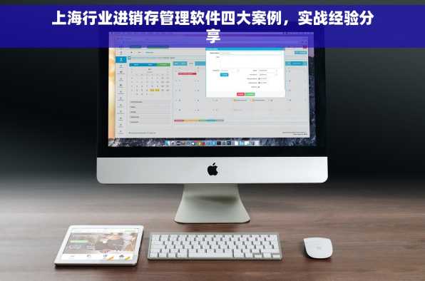 上海行业进销存管理软件四大案例，实战经验分享
