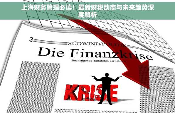 上海财务管理必读！最新财税动态与未来趋势深度解析