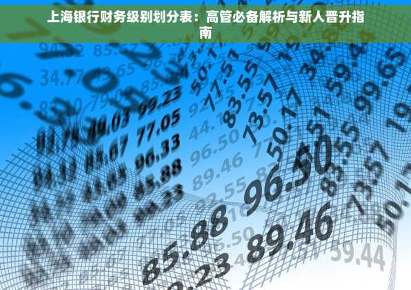 上海银行财务级别划分表：高管必备解析与新人晋升指南