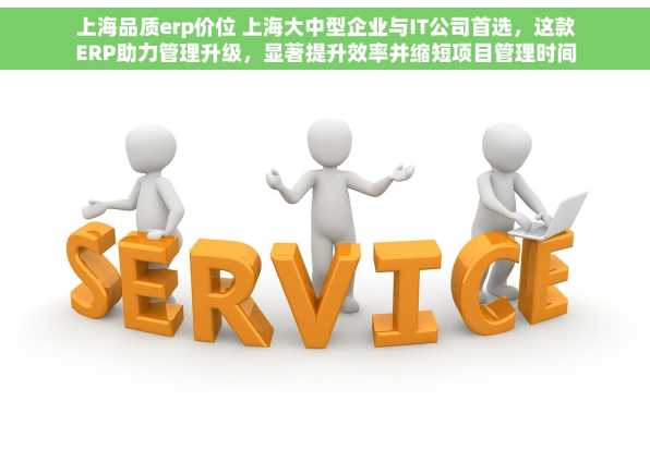 上海品质erp价位 上海大中型企业与IT公司首选，这款ERP助力管理升级，显著提升效率并缩短项目管理时间