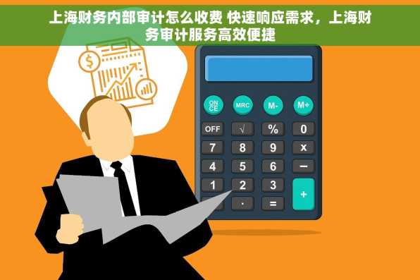 上海财务内部审计怎么收费 快速响应需求，上海财务审计服务高效便捷