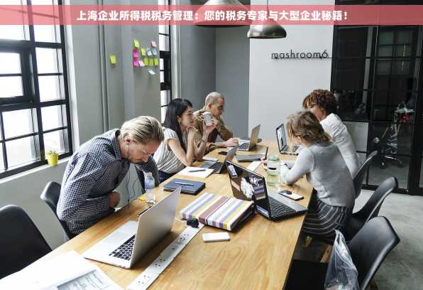 上海企业所得税税务管理：您的税务专家与大型企业秘籍！