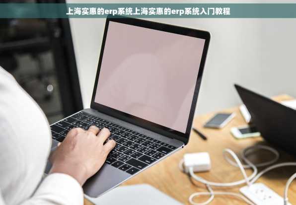 上海实惠的erp系统上海实惠的erp系统入门教程