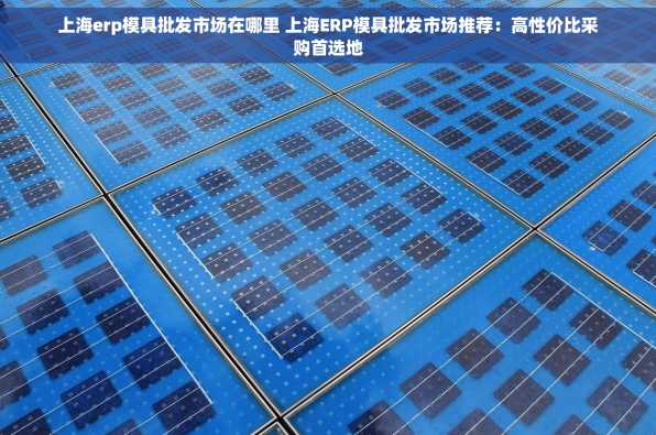 上海erp模具批发市场在哪里 上海ERP模具批发市场推荐：高性价比采购首选地