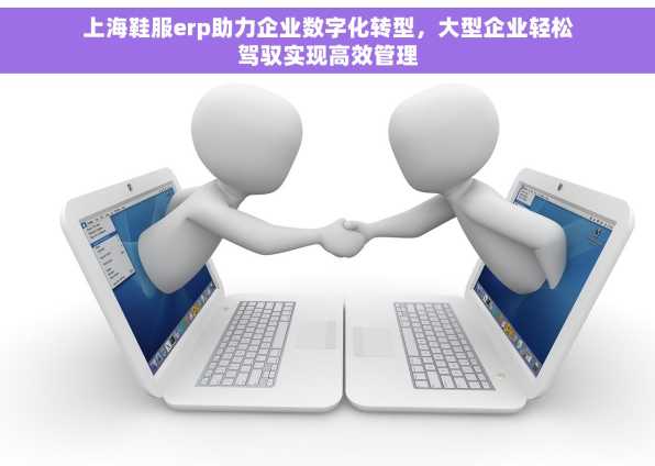 上海鞋服erp助力企业数字化转型，大型企业轻松驾驭实现高效管理