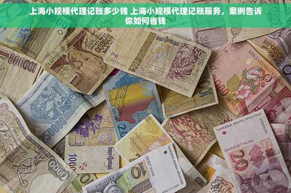 上海小规模代理记账多少钱 上海小规模代理记账服务，案例告诉你如何省钱