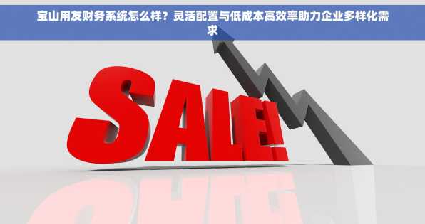 宝山用友财务系统怎么样？灵活配置与低成本高效率助力企业多样化需求