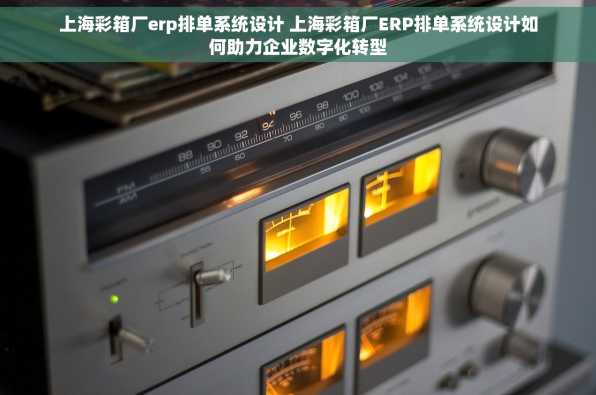 上海彩箱厂erp排单系统设计 上海彩箱厂ERP排单系统设计如何助力企业数字化转型