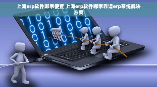 上海erp软件哪家便宜 上海erp软件哪家靠谱erp系统解决方案