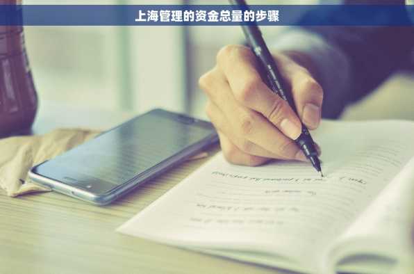 上海管理的资金总量的步骤