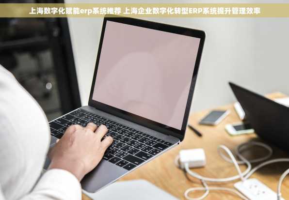 上海数字化赋能erp系统推荐 上海企业数字化转型ERP系统提升管理效率
