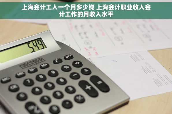 上海会计工人一个月多少钱 上海会计职业收入会计工作的月收入水平