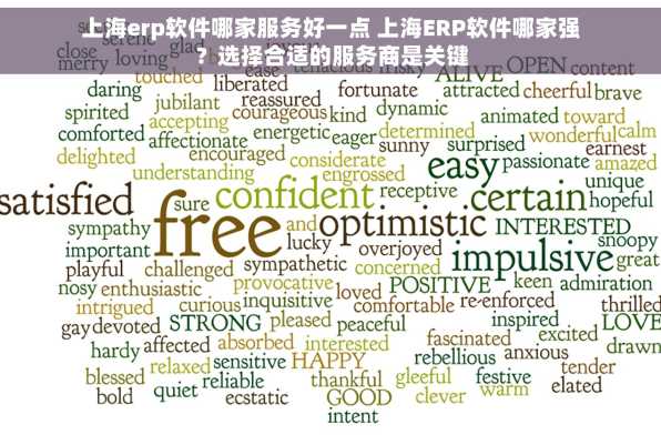 上海erp软件哪家服务好一点 上海ERP软件哪家强？选择合适的服务商是关键