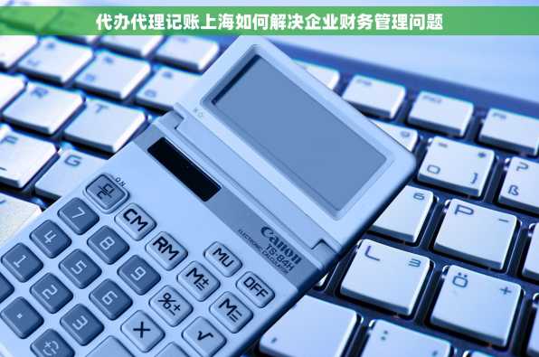 代办代理记账上海如何解决企业财务管理问题
