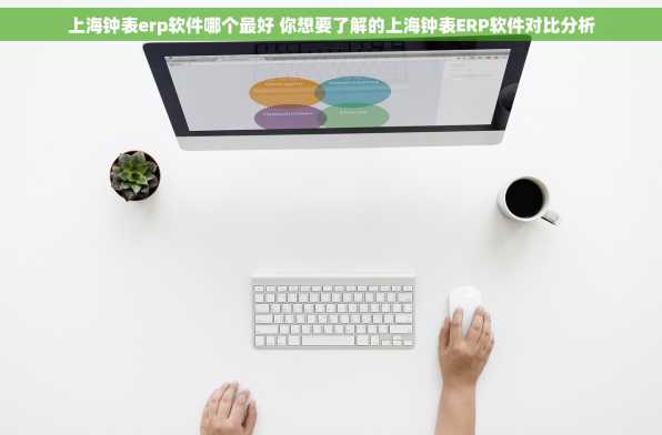 上海钟表erp软件哪个最好 你想要了解的上海钟表ERP软件对比分析
