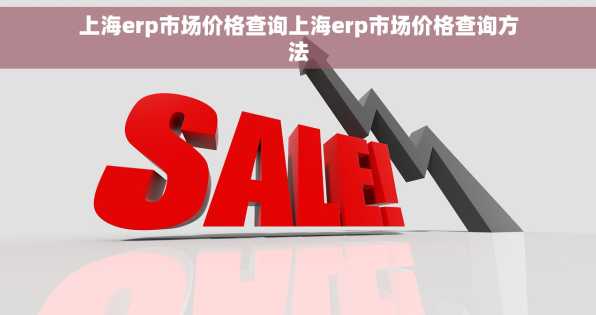 上海erp市场价格查询上海erp市场价格查询方法