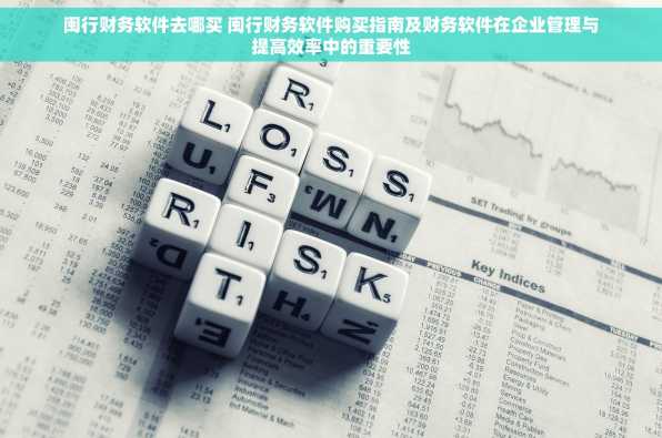 闽行财务软件去哪买 闽行财务软件购买指南及财务软件在企业管理与提高效率中的重要性