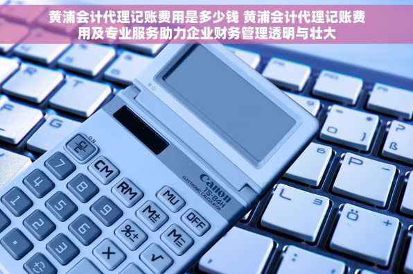 黄浦会计代理记账费用是多少钱 黄浦会计代理记账费用及专业服务助力企业财务管理透明与壮大