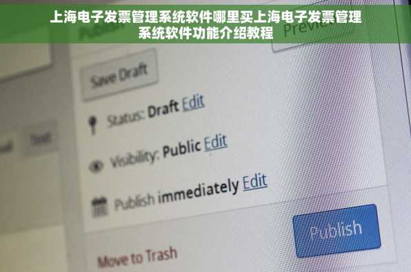 上海电子发票管理系统软件哪里买上海电子发票管理系统软件功能介绍教程