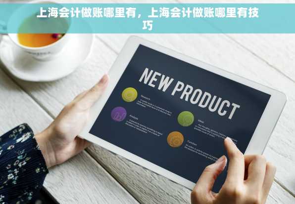 上海会计做账哪里有，上海会计做账哪里有技巧