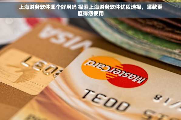 上海财务软件哪个好用吗 探索上海财务软件优质选择，哪款更值得您使用