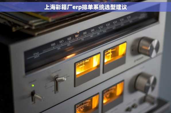 上海彩箱厂erp排单系统选型建议
