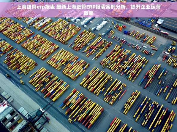 上海纸管erp报表 最新上海纸管ERP报表案例分析，提升企业运营效率
