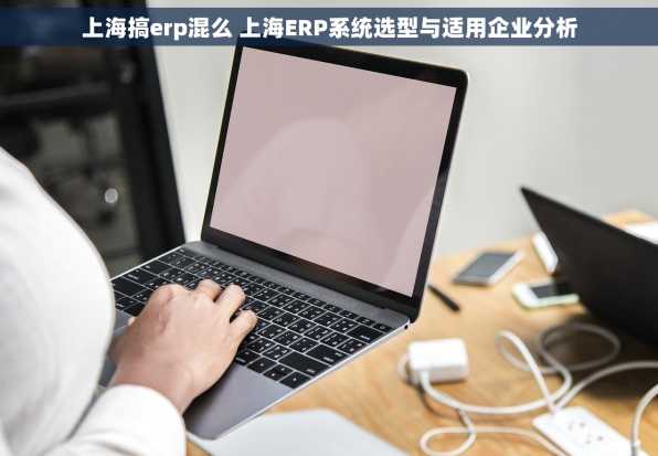 上海搞erp混么 上海ERP系统选型与适用企业分析