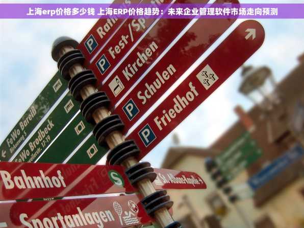 上海erp价格多少钱 上海ERP价格趋势：未来企业管理软件市场走向预测