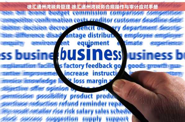 徐汇通州湾税务管理 徐汇通州湾税务合规操作与审计应对手册