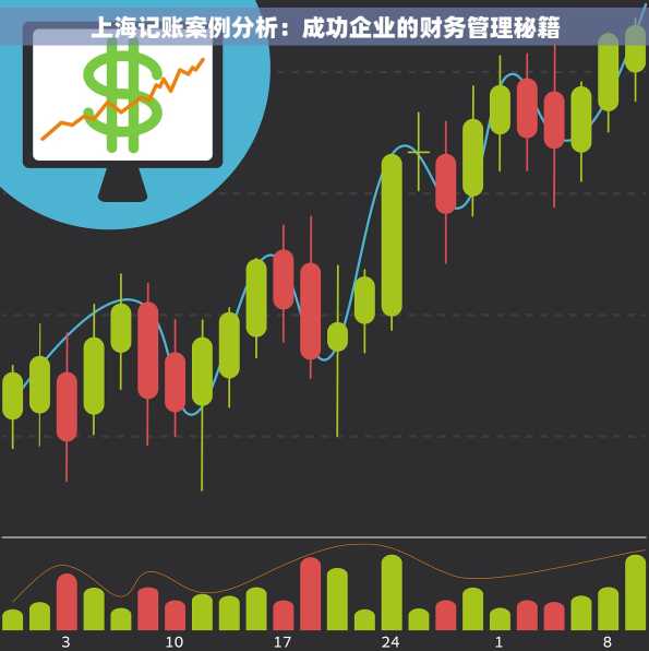 上海记账案例分析：成功企业的财务管理秘籍