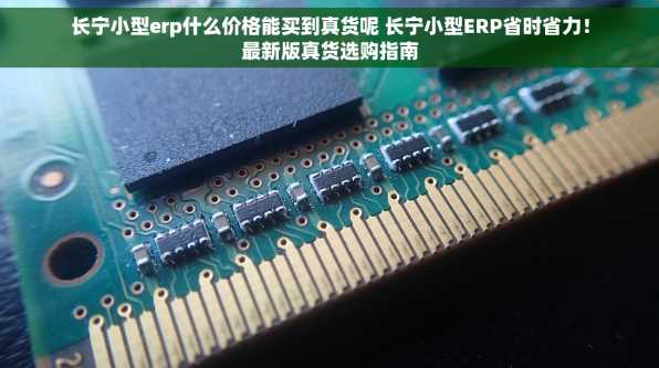 长宁小型erp什么价格能买到真货呢 长宁小型ERP省时省力！最新版真货选购指南