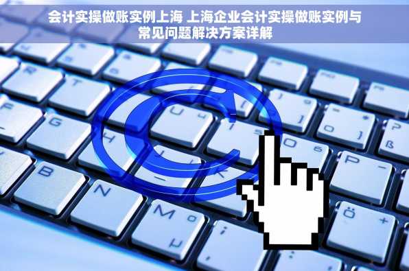 会计实操做账实例上海 上海企业会计实操做账实例与常见问题解决方案详解