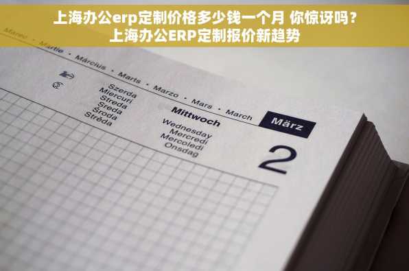 上海办公erp定制价格多少钱一个月 你惊讶吗？上海办公ERP定制报价新趋势