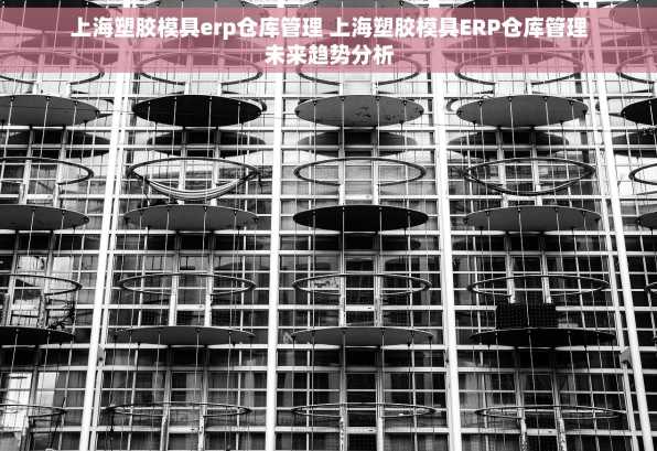 上海塑胶模具erp仓库管理 上海塑胶模具ERP仓库管理未来趋势分析