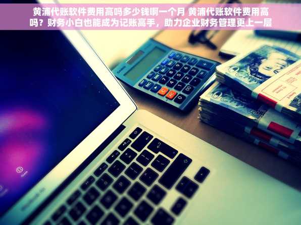 黄浦代账软件费用高吗多少钱啊一个月 黄浦代账软件费用高吗？财务小白也能成为记账高手，助力企业财务管理更上一层楼！