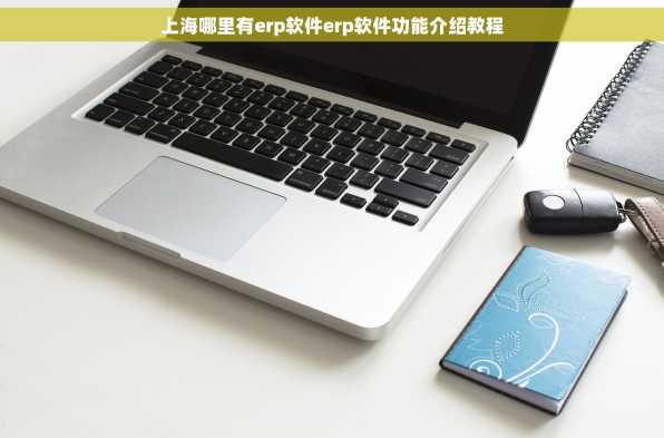 上海哪里有erp软件erp软件功能介绍教程