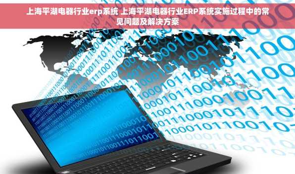 上海平湖电器行业erp系统 上海平湖电器行业ERP系统实施过程中的常见问题及解决方案
