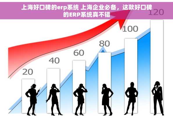 上海好口碑的erp系统 上海企业必备，这款好口碑的ERP系统真不错