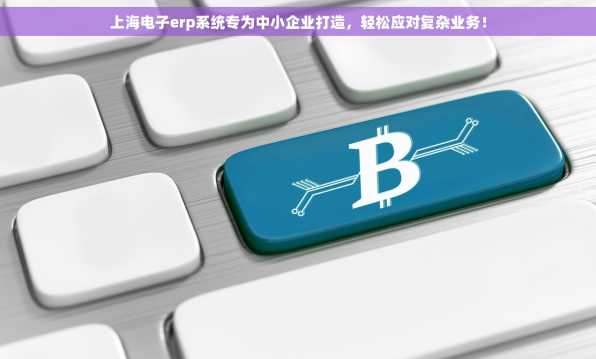 上海电子erp系统专为中小企业打造，轻松应对复杂业务！